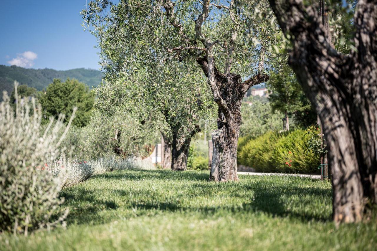 Terre Di Cocomo Borgo a Buggiano Extérieur photo
